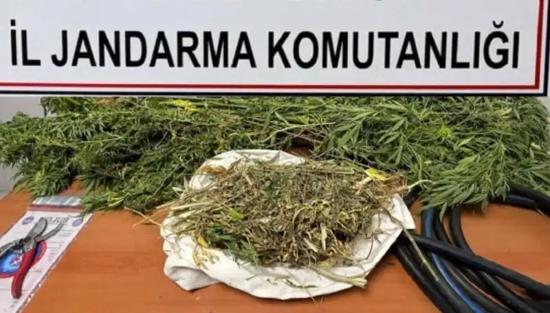 Niğde'de Türkiye'yi Sarsan Uyuşturucu Operasyonu: Çeteye Darbe!
