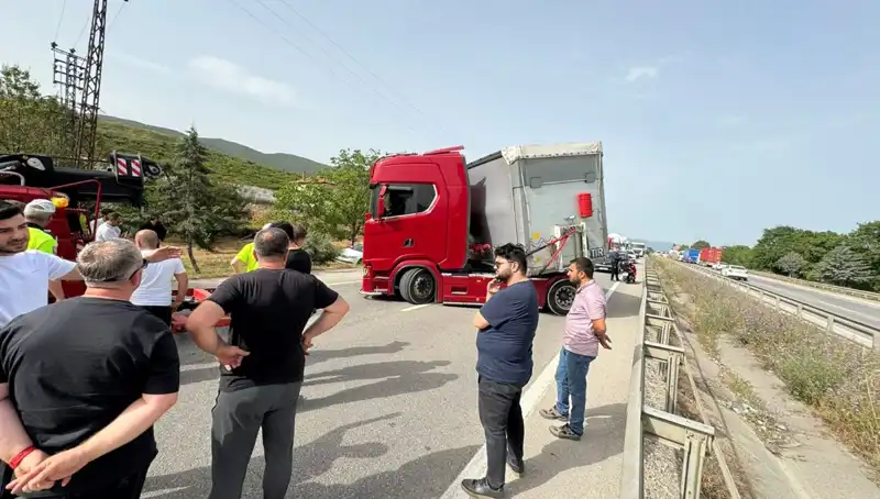 Seyir Halindeyken Arı Soktu: Trafik Kilitlendi ve Şok Yaşandı