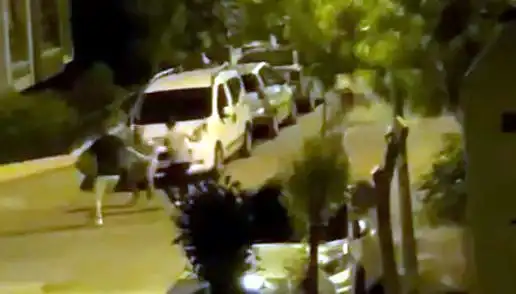 Avcılar'da Vatandaşa Saldıran 3 Kişi Feci Bir Şekilde Korkuttu