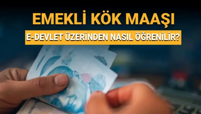 Kök Maaş Nedir? Öğrenmenin ve Hesaplamanın Tüm Yolları!