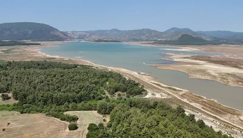 İzmir'de Tehlike Çanları: Kayıplar Yüzde 50 Arttı, Nedenleri Araştırılıyor