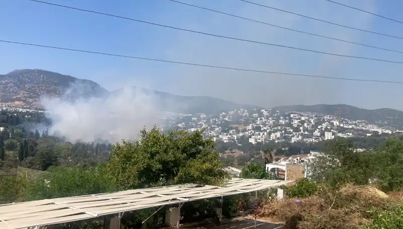 Muğla Orman Yangınları Kontrol Altına Alındı: Geçmişten Dersler ve Gelecek Önlemleri