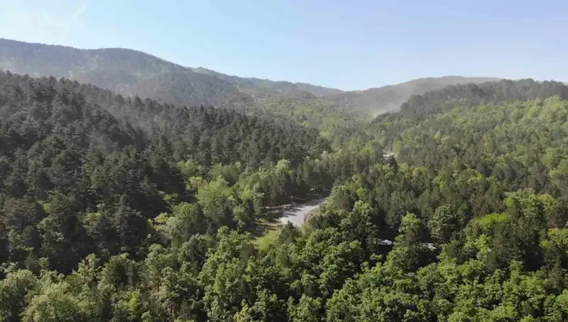 2025'te Orman Girişleri Yasaklanan İller: Yeni Düzenlemenin Ayrıntıları
