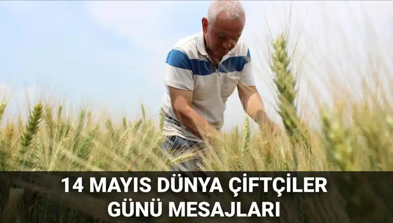 14 Mayıs Dünya Çiftçiler Günü: Çiftçilerin Emeklerini Anlamak ve Kutlamak