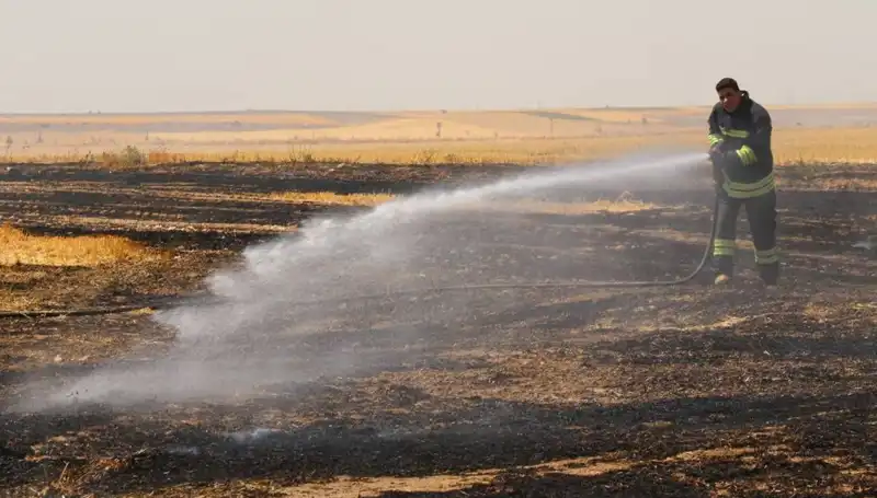 Eskişehir'de Trafo Yangını: Tarım Arazisi Küller İçinde Kaldı