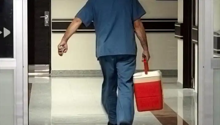 Organ Bağışı İçin E-Devlet ve E-Nabız ile Yeni Dönem Başlıyor