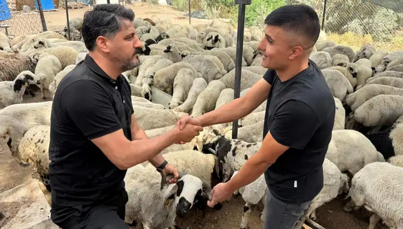 Kurbanlık Alırken Dikkat! Tuz ve Sumak Kullanımı Hayvanları Şişkin Gösteriyor