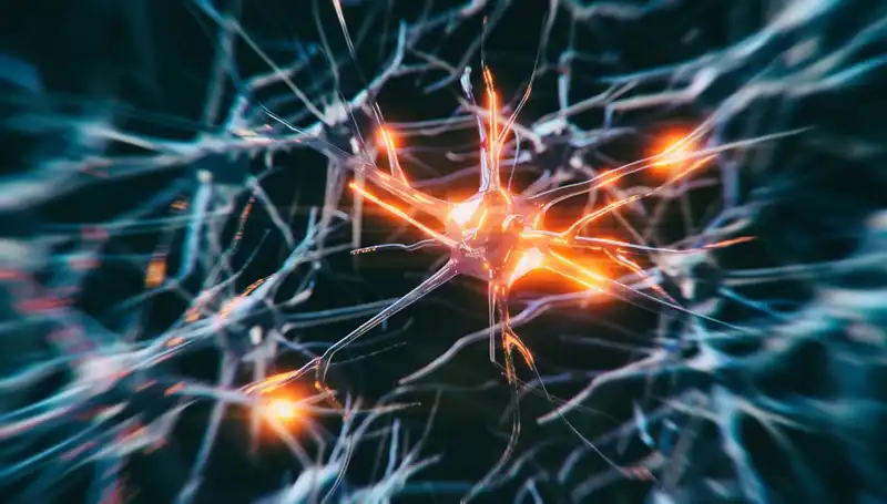 Alzheimer Vakaları Neden Artıyor? Bilimsel Gerçekler ve Gelecek Öngörüleri