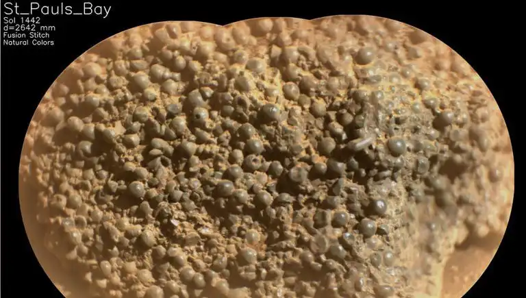 Mars'ta Yerlisi Gibi Görünen Örümcek Yumurtaları Keşfedildi!