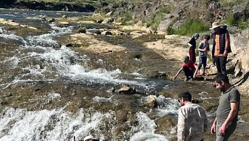İnci Kefalinin Muhteşem Göçü: Doğa Severleri Stendhal Sendromu Yaşıyor