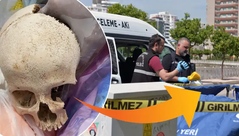 Sitenin Çöpünden Çıkan Kafatasının Gizemi Ortaya Çıktı, Uzman Doktor Gözaltında!