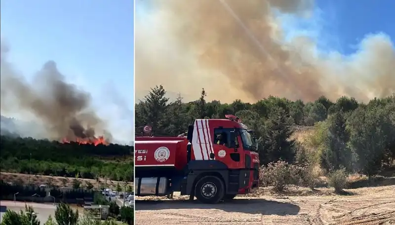 Gebze'de Orman Yangını: Yangının Sebepleri ve Etkileri Neler?