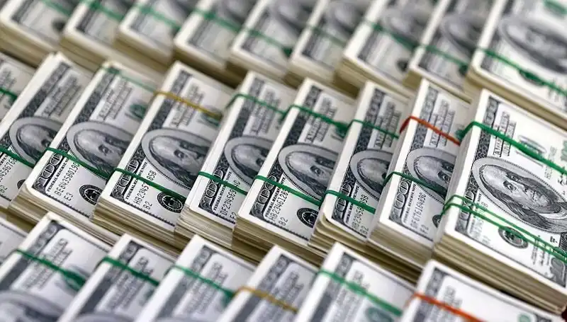Doların Hızla Yükselişi Uzmanlardan Uyarılar Getiriyor