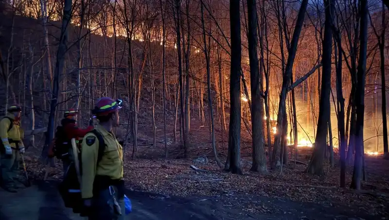 New York Orman Yangınları: Acil Durum İlanı ve Sonrası