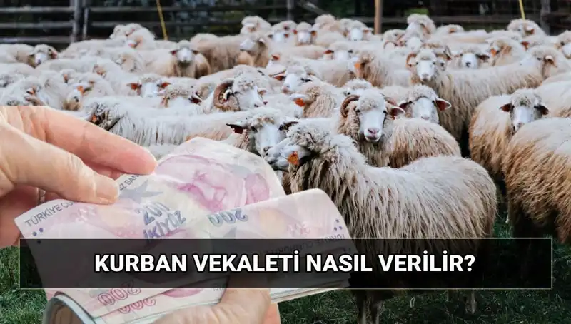 Vekaletle Kurban Kesimi: Diyanet'in 2025 Ücretleri ve Detaylar