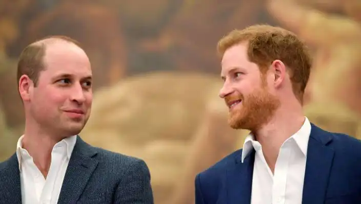 Prens Harry ve Prens William Arasındaki Küslük: Monarşinin Geleceği Tehlikede mi?