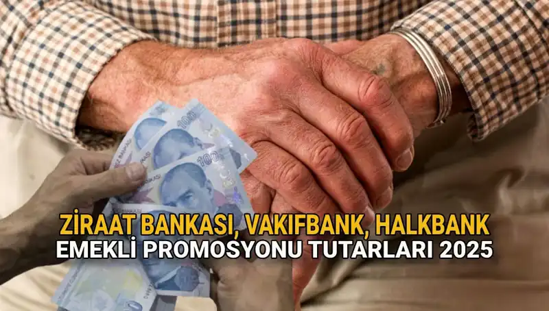 2025 Emekli Maaşı Promosyonları: Kamu Bankalarından Kaçırılmayacak Fırsatlar