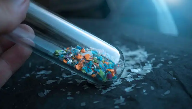Mikroplastikler İnsanın Beynine Kadar Sızıyor: Sağlığımızı Tehdit Eden Gerçekler