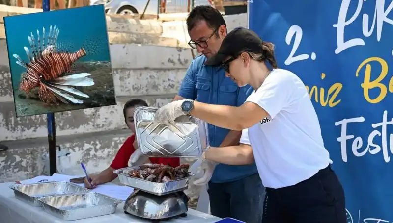 Antalya'da İstilacı Aslan Balığı Avlama Yarışması: Doğayı Koruma Mücadelesi