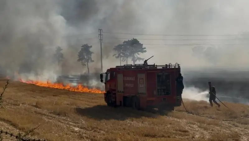 Kırklareli'nde Anız Yangını: Alarm Zilleri Çaldı, Nedenleri ve Sonuçları