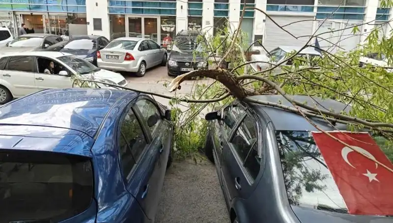 Kayseri'yi Sarsan Fırtına: Dalları Kıran Doğa Olayı