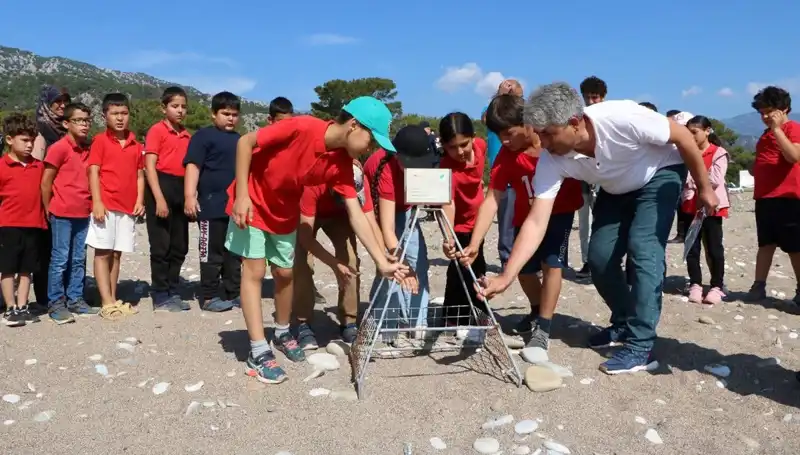 Kemer’de Caretta Caretta Koruma Yasakları Başladı: Plajlar Ne Olacak?
