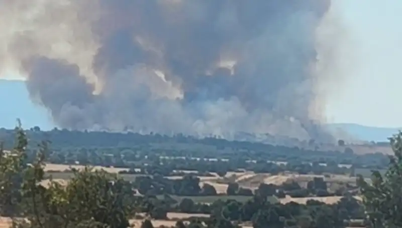 Komşudaki Orman Yangını Edirne'yi Karanlığın İçine Sapladı